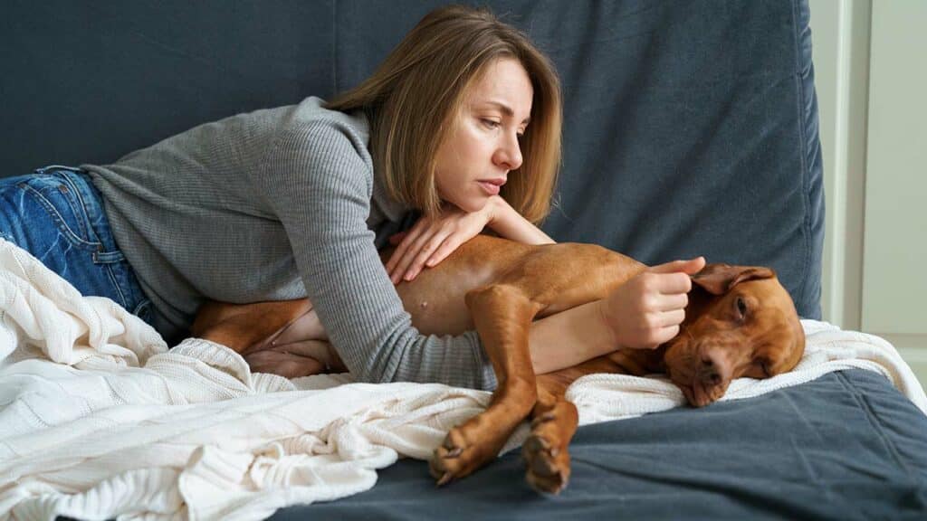 Image d'un chien malade allongé qui ne bouge plus, sa maîtresse s'inquiète et se demande s'il faut appeler un vétérinaire d'urgence de garde à Pau.