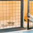 veto de garde hospitatlisation veterinaire