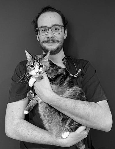 nicolas fauvel veto de garde