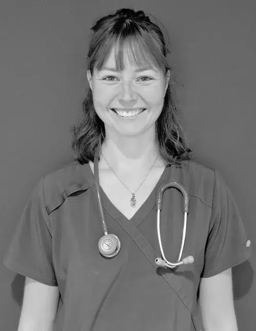 celenie endelin clinique veterinaire du coq a l ane